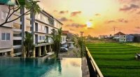 Investment Potential in the Hotel and Restaurant Sector in Bali