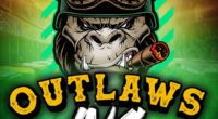 Outlaws Inc Slot Game