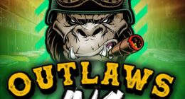 Outlaws Inc Slot Game